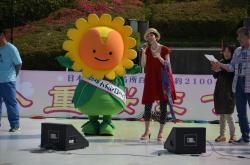 八重桜まつり2013年① 八重桜まつり2013年①