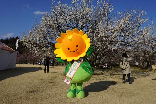 3.4 県産品まつり 3.4 県産品まつり