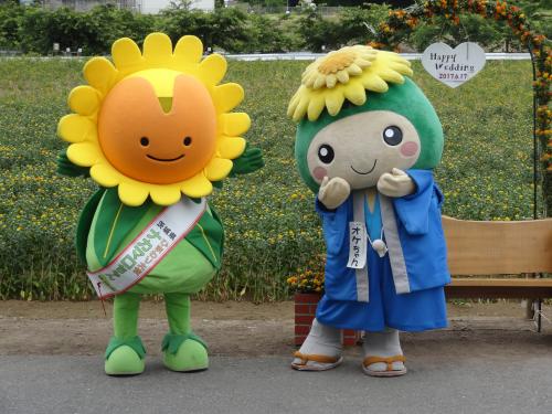 6.18 べに花まつり 6.18 べに花まつり