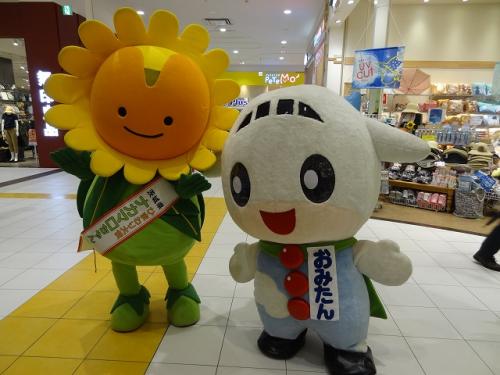 7.1 与野 7.1 与野