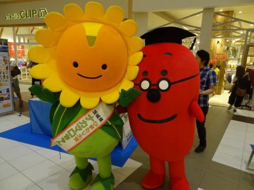7.1 与野 7.1 与野