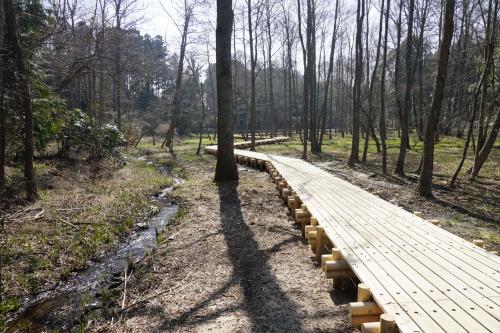 清水洞の上公園 清水洞の上公園