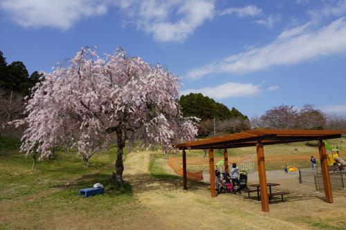 静峰ふるさと公園 静峰ふるさと公園
