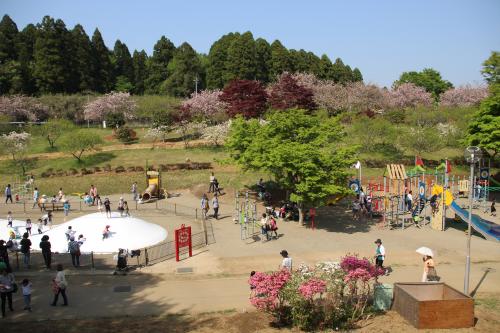 遊具 遊具