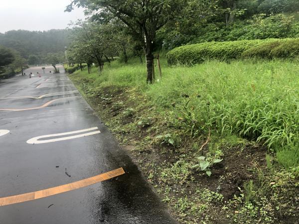 道 道