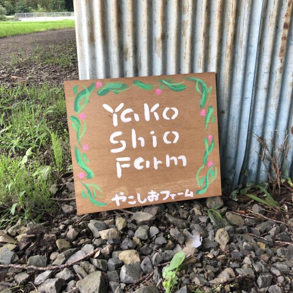 看板 看板