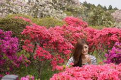 静峰ふるさと公園初夏の花(1)