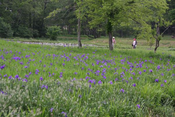 清水洞の上公園