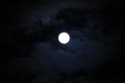月見の会　月