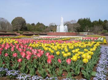 茨城県植物園