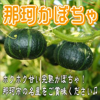 那珂かぼちゃタイトル