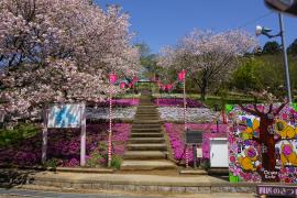 4.22静峰ふるさと公園