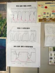 額田26-21