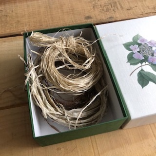 楮 楮