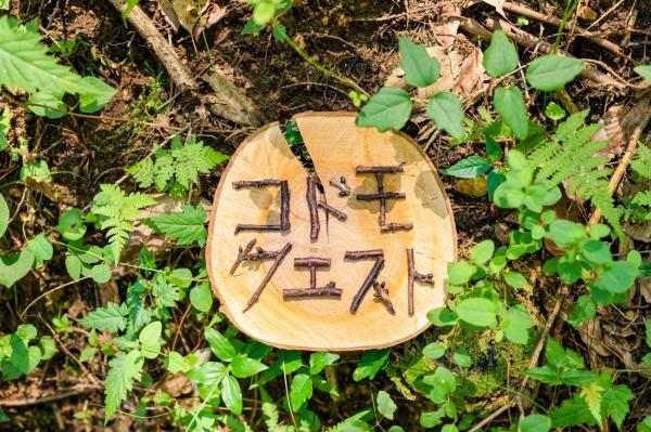 コドモクエスト看板 コドモクエスト看板