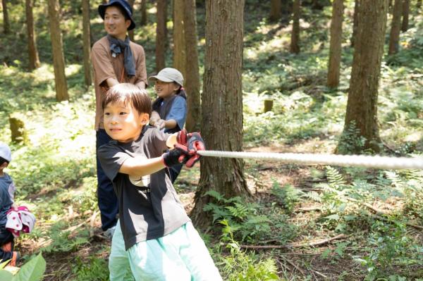 間伐寄り 間伐寄り