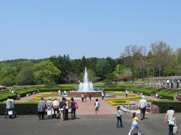 県植物園画像-2